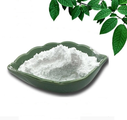 뜨거운 판매 최고의 품질 N-METHYLBENZAMIDE 중국 업체 613-93-4명