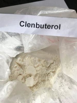CAS 21898-19-1 염산클렌부테롤 파우더 Api 화학적이 빅르 나, 완장
